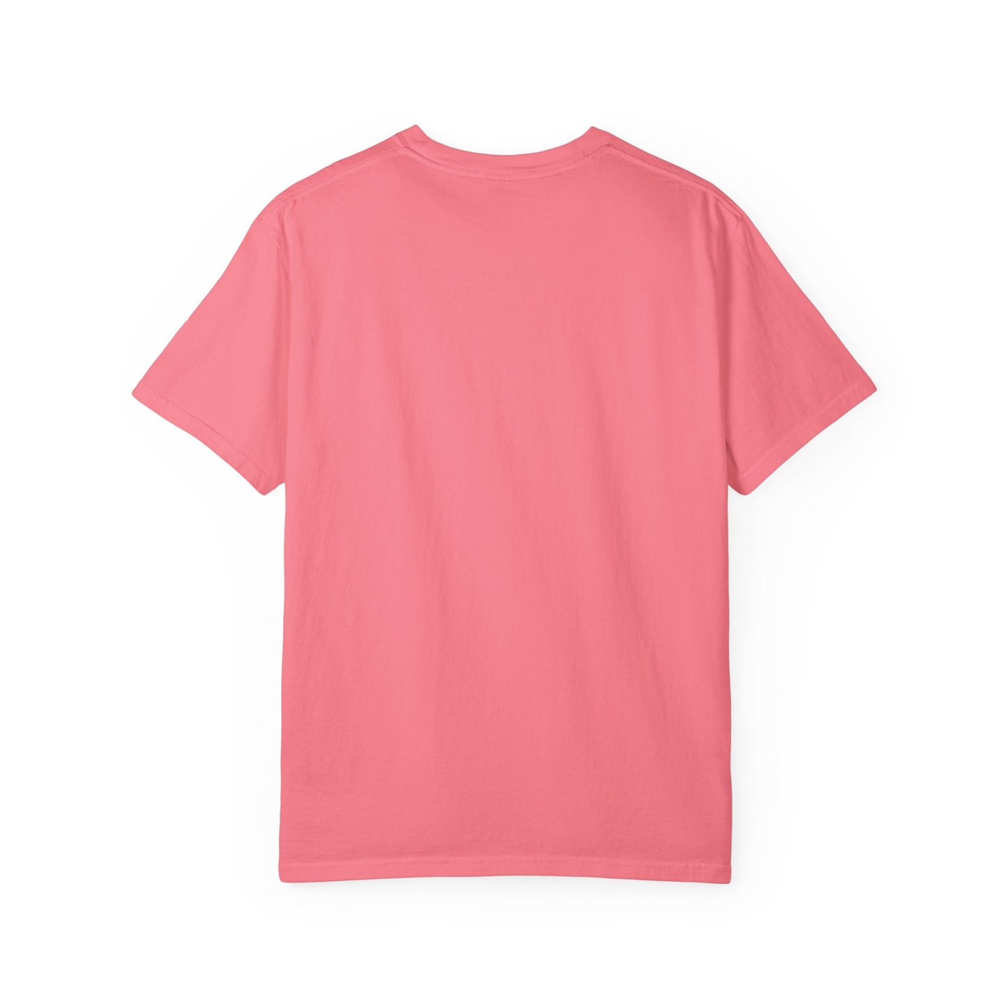 T-SHIRT COLLECTION: SALT + LIGHT