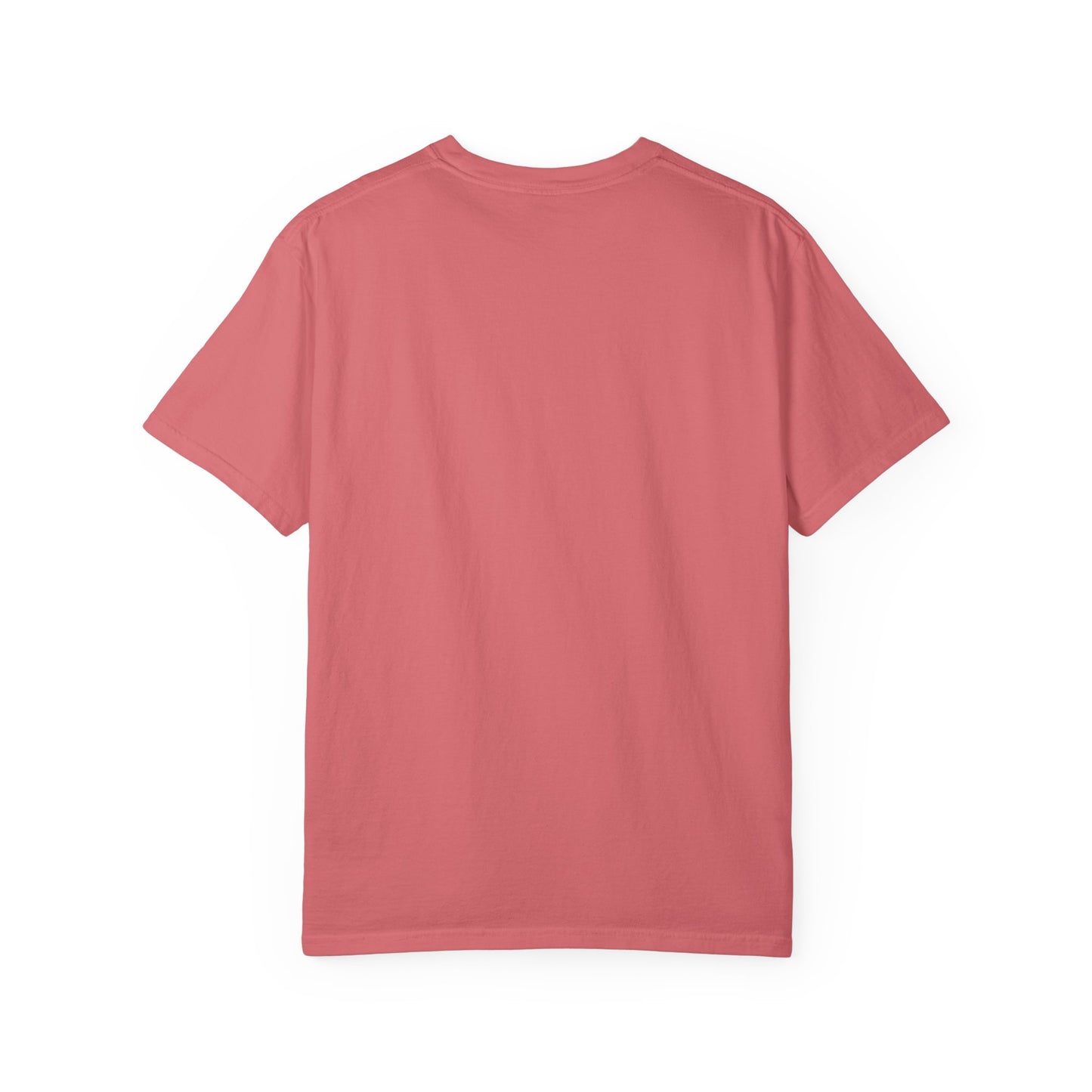 T-SHIRT COLLECTION: SALT + LIGHT