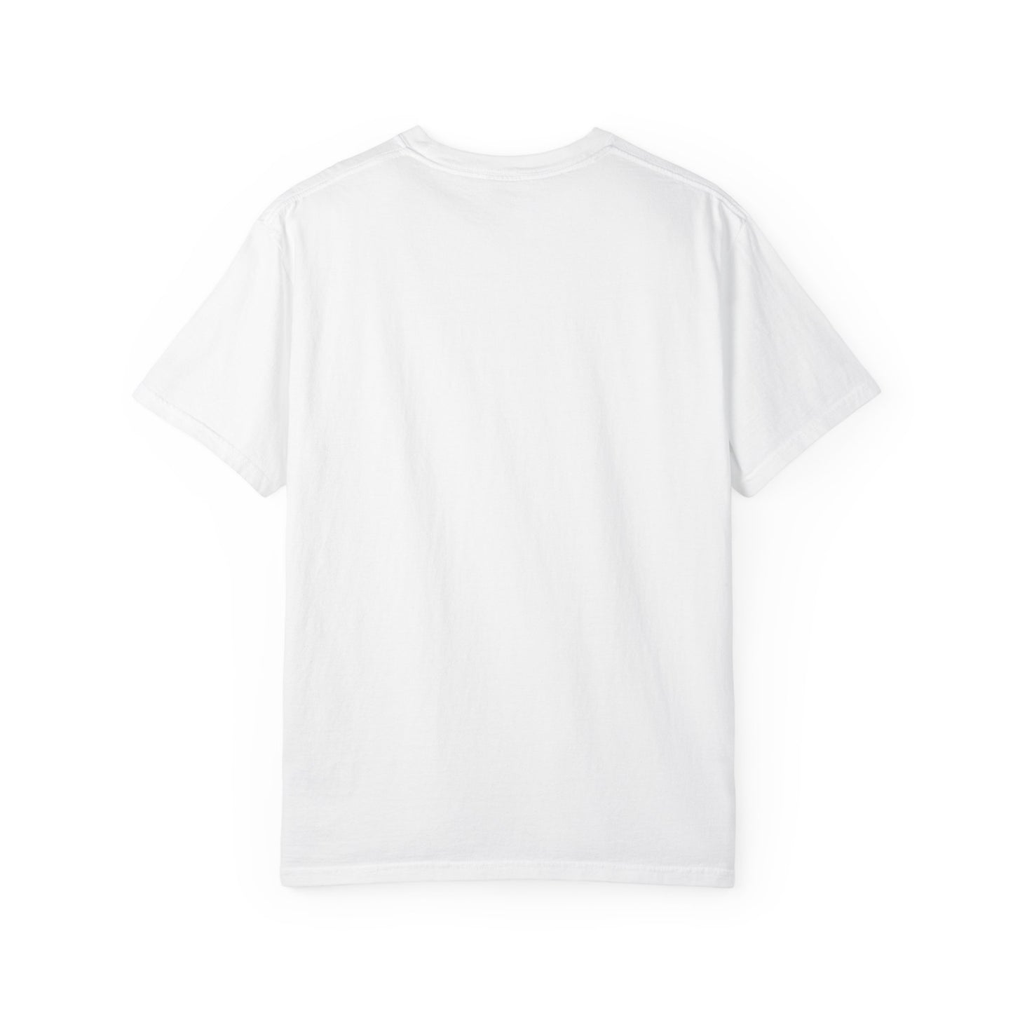 T-SHIRT COLLECTION: SALT + LIGHT