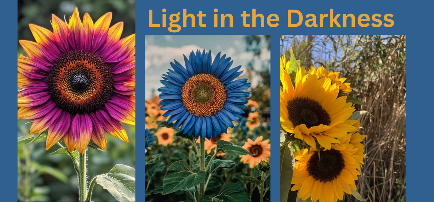 Ceramic Mug, Sunflowers, Light in the Darkness, (15oz)